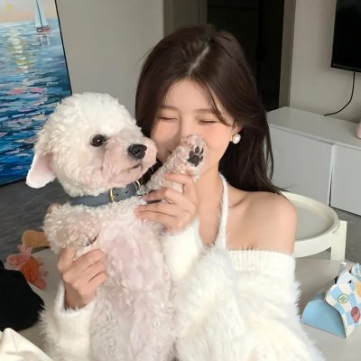 小迪兹的完美观念