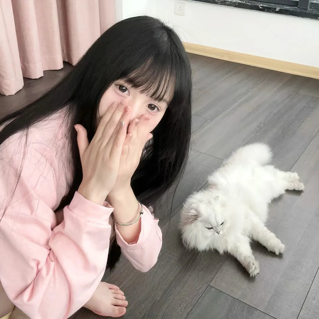 猫在爬