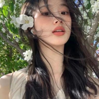 阿加莎失踪案
